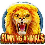 RTP CQ9 Xtraplay88