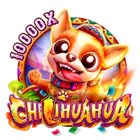 Facai : CHILIHUAHUA - XTRAPLAY88