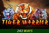 Spadegaming : Tiger Warrior - XTRAPLAY88