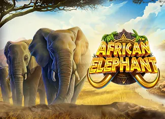 Pragmatic : African Elephant - XTRAPLAY88